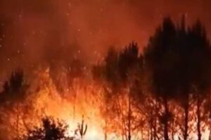 Incendies en Gironde (X Little Think Tank)