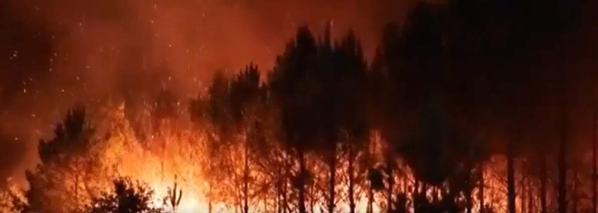 Incendies en Gironde (X Little Think Tank)