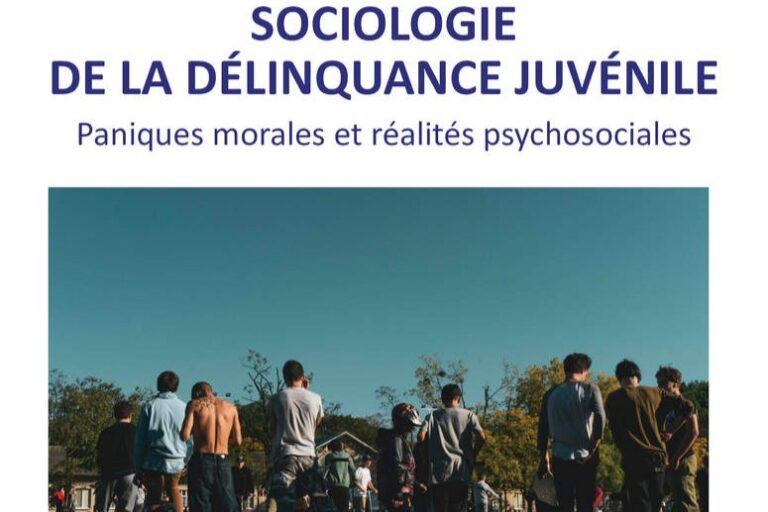 Sociologie de la délinquance juvéniiloe, par Laurent Mucchielli (L'Harmattan)